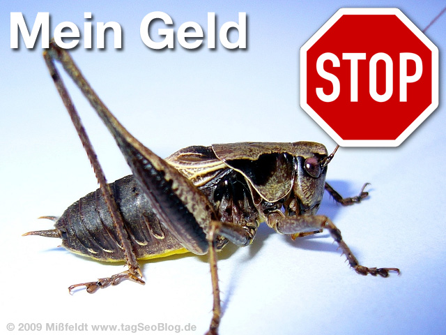 Mein Geld! Girokonto oder Tagesgeld?