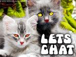 Chat Room (Lets chat)
