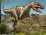 Allosaurier (Dinosaurier der Kreidezeit)