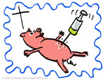 H1N1 Schweinegrippe (Neue Grippe)