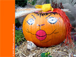 Foto als Blog-Stilelement