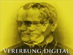 Vererbung digital (Gregor Mendel)