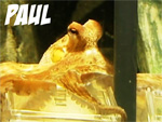 Krake Paul (Oktopus) - Orakel und WM-Experte