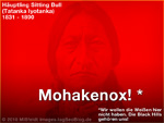 Mohakenox ist super (Mein Beitrag)